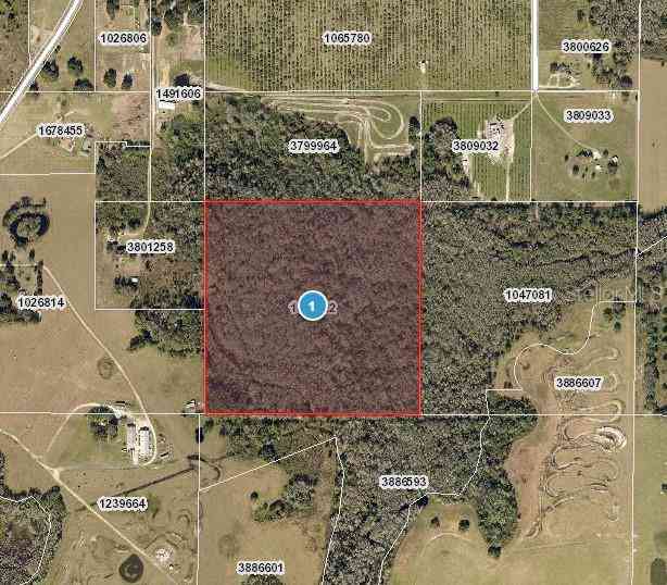 Vacant Land For Sale - Hidden Grove Road<br/> CLERMONT, FL 34711