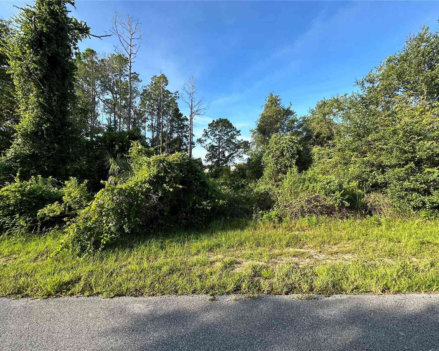Vacant Land For Sale - 112 Warmouth Lane<br/> POINCIANA, FL 34759