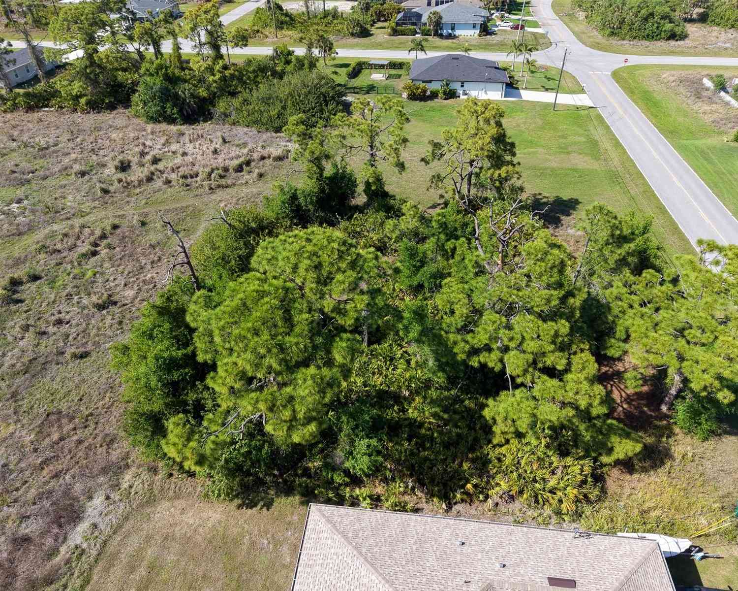 Slider Thumb