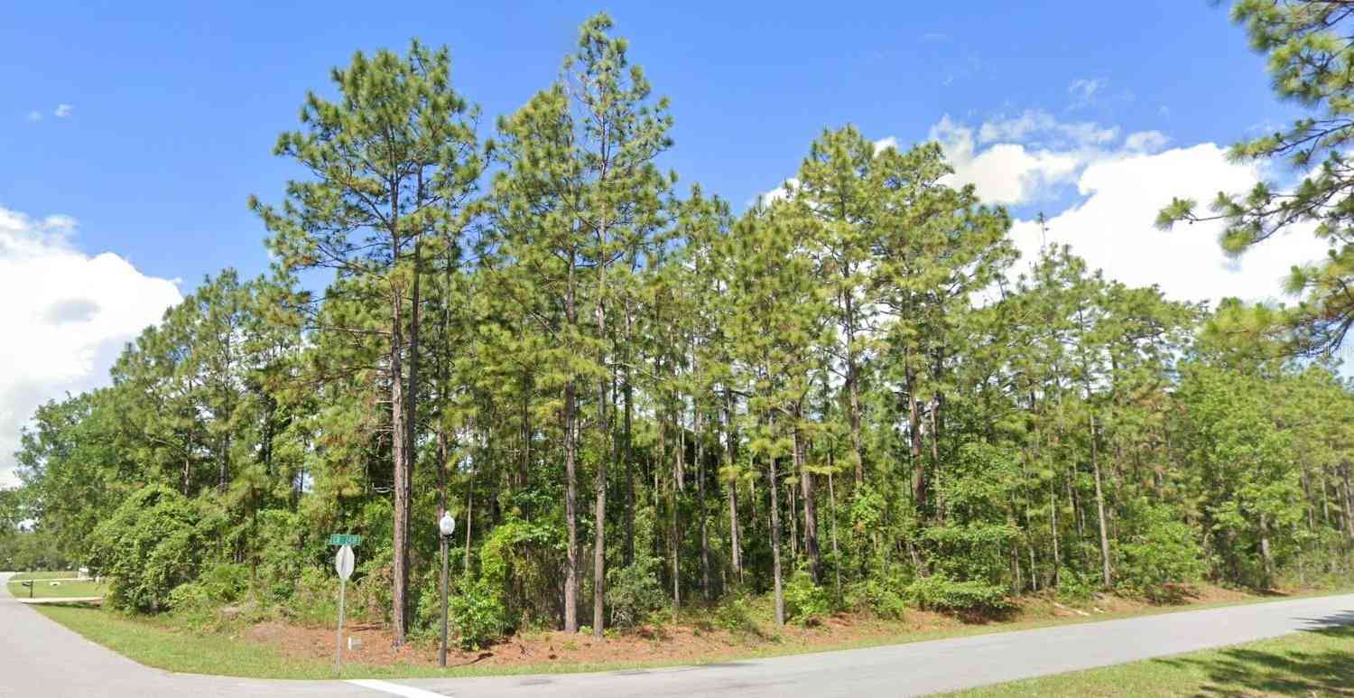 Vacant Land For Sale - 2020 Cr 243 B<br/> Sumter County, WILDWOOD, FL 34785