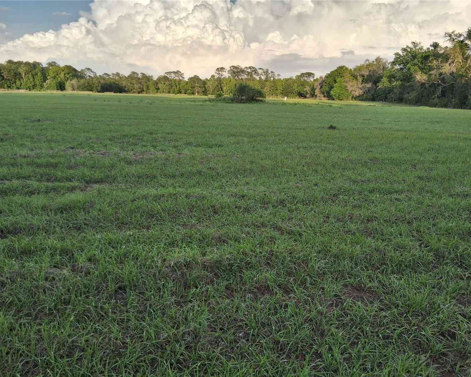 Vacant Land For Sale - 1613 NE 12th Avenue<br/> SUMTERVILLE, FL 33585