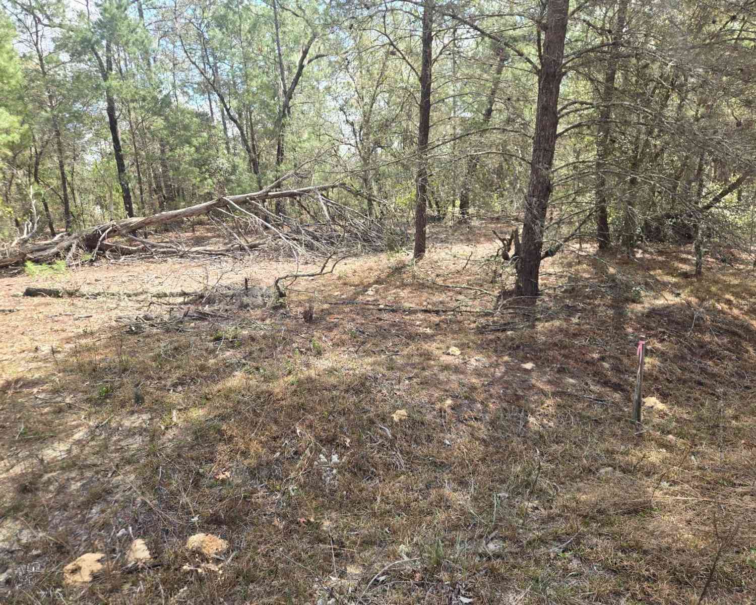 Vacant Land For Sale - 206 Wales Street<br/> INTERLACHEN, FL 32148
