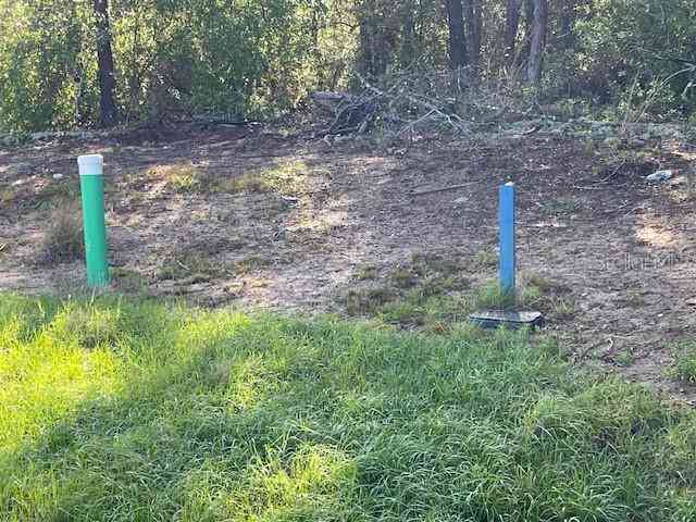 Vacant Land For Sale - 1318 Homosassa Drive<br/> KISSIMMEE, FL 34759