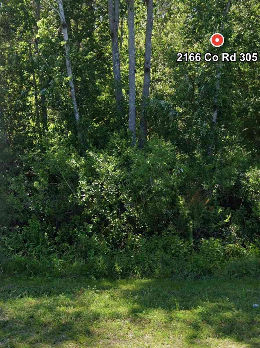 Vacant Land For Sale - 2166 Cr-305<br/> BUNNELL, FL 32110