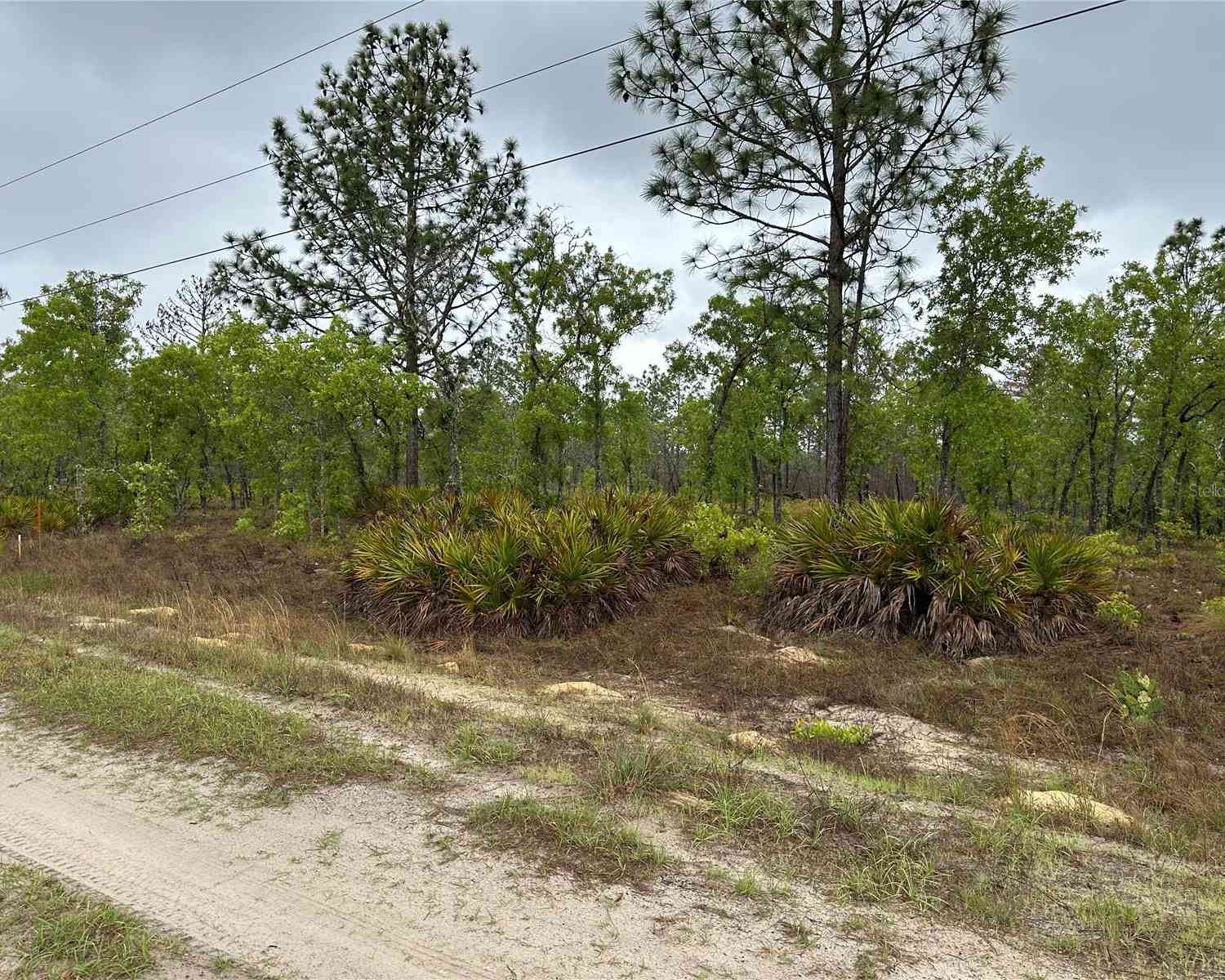 Vacant Land For Sale - Sw 95th Pl<br/> DUNNELLON, FL 34432