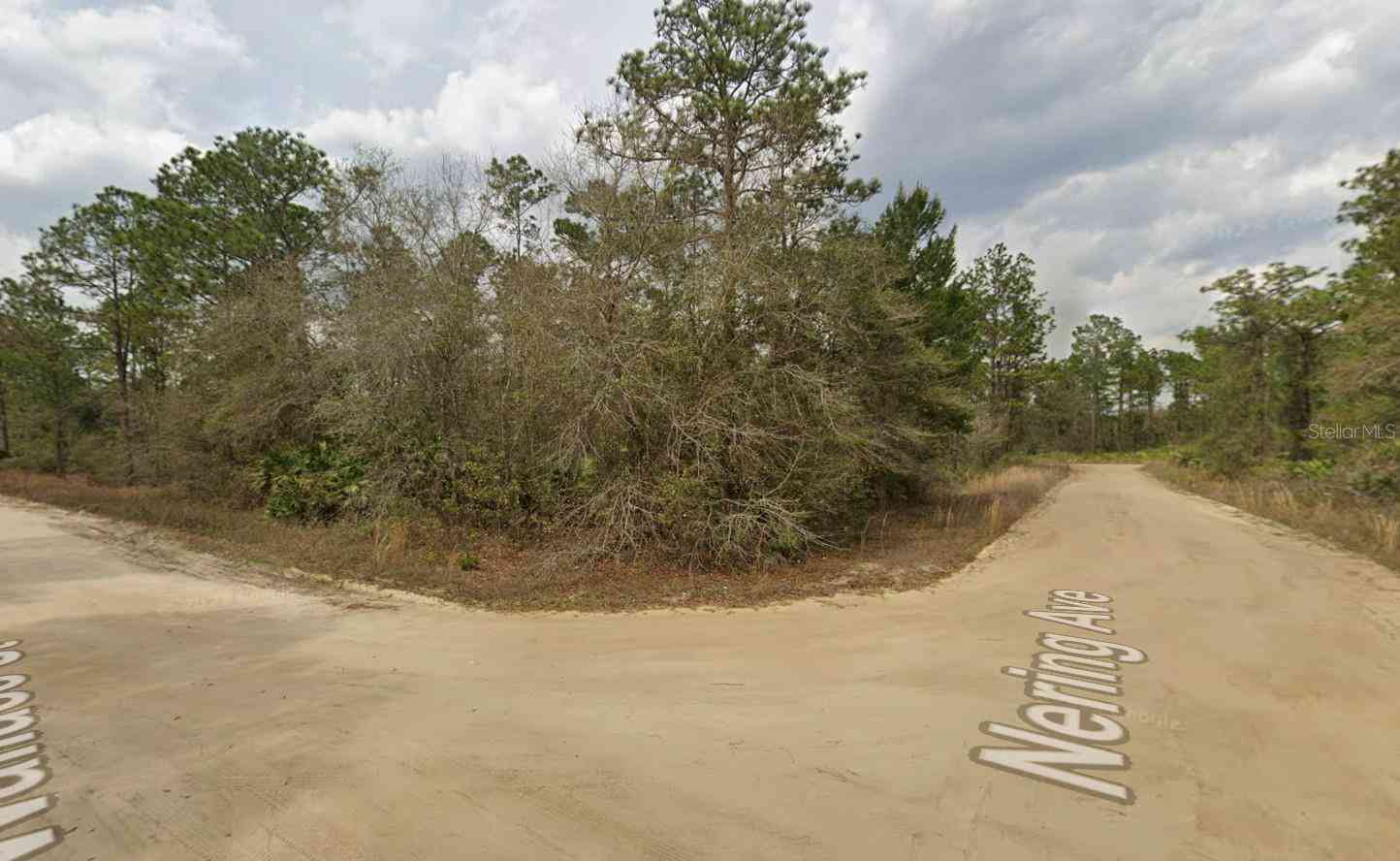 Vacant Land For Sale - LOT 18 Wallace Street<br/> INTERLACHEN, FL 32148