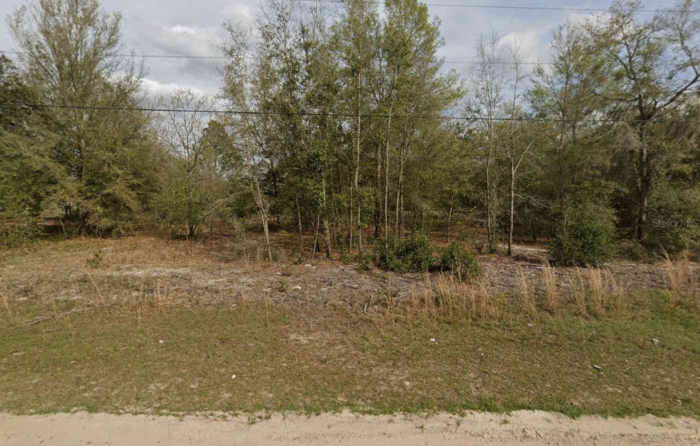 Vacant Land For Sale - LOT 15 Marion Avenue<br/> INTERLACHEN, FL 32148