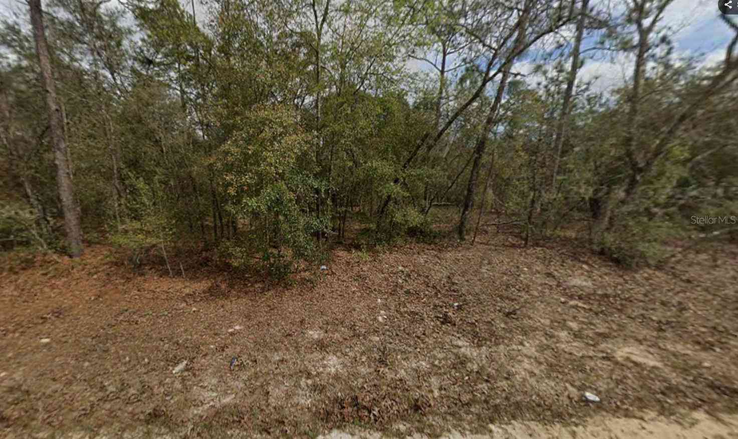 Vacant Land For Sale - LOT 28 Janet Avenue<br/> INTERLACHEN, FL 32148