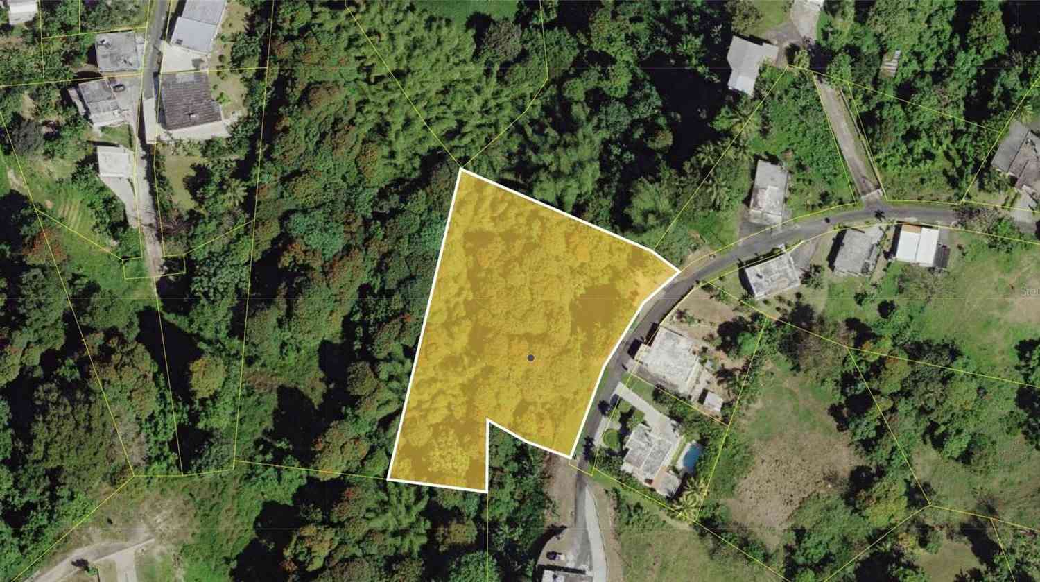 Vacant Land For Sale - Montellano<br/> LAS PIEDRAS, PR 00771