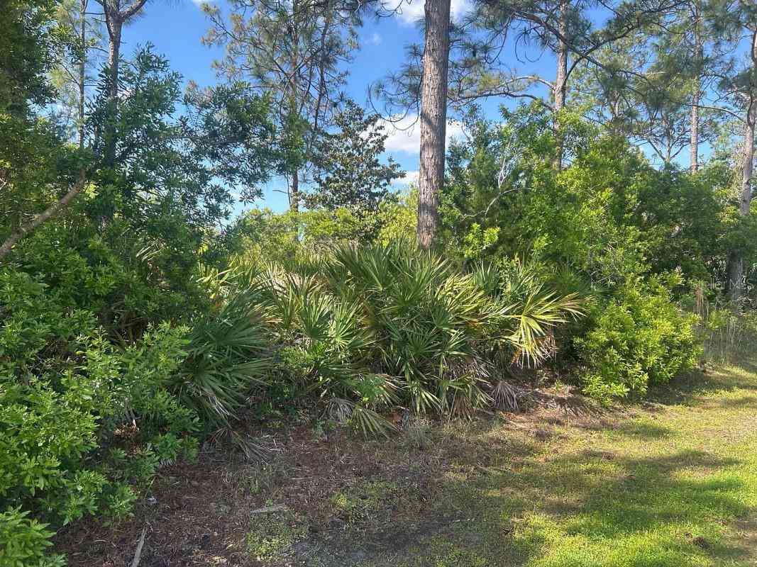 Vacant Land For Sale - 93 Prince Eric Lane<br/> PALM COAST, FL 32164