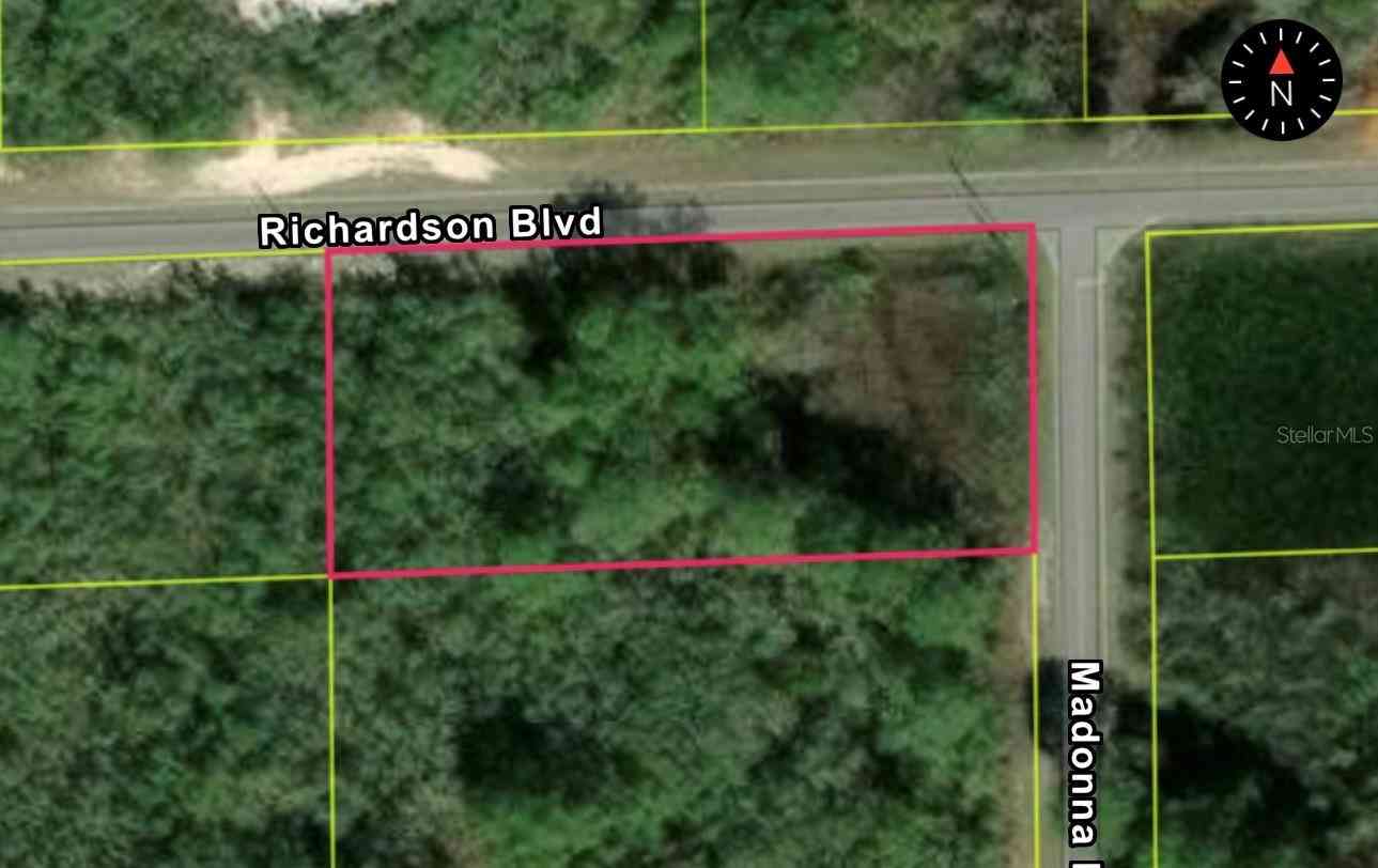 Vacant Land For Sale - Richardson Blvd, Lot 1<br/> WEBSTER, FL 33597