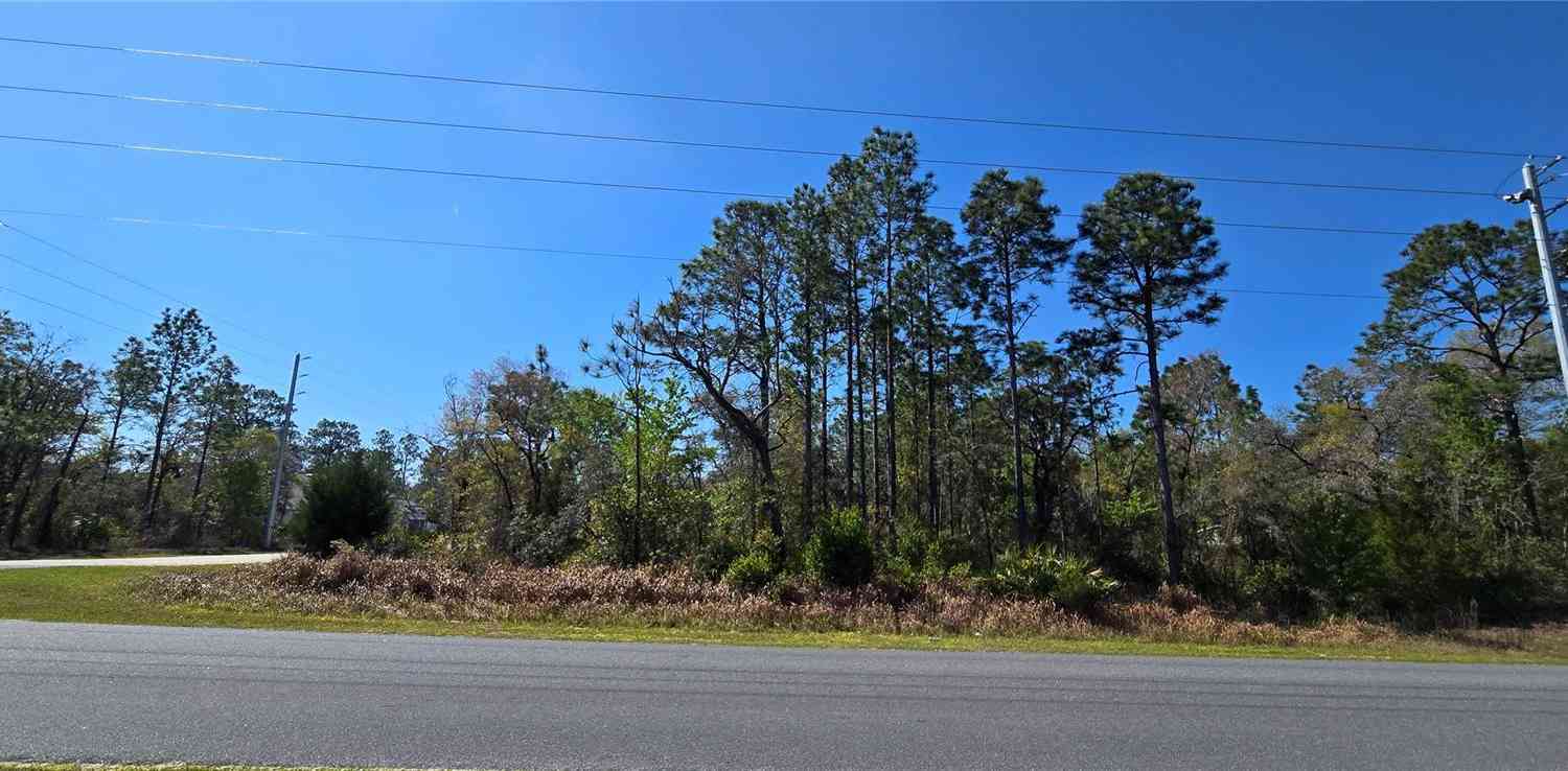 Vacant Land For Sale - 12398 Ruffed Grouse Road<br/> WEEKI WACHEE, FL 34614