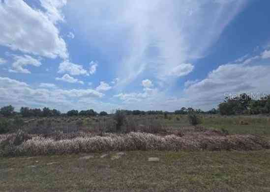 Vacant Land For Sale - 0 Artifact Drive<br/> ZEPHYRHILLS, FL 33541