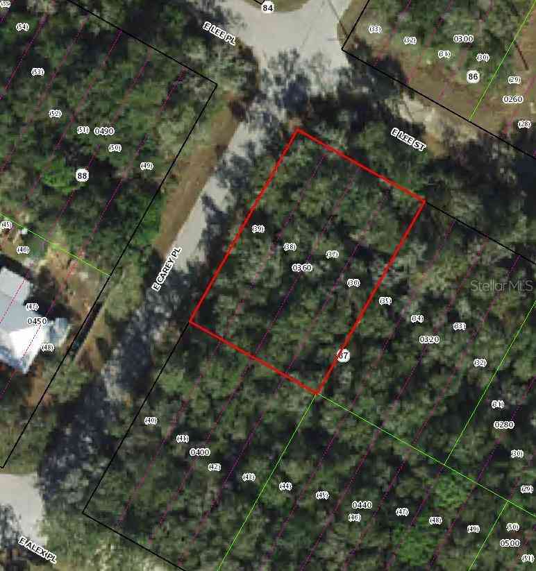 Vacant Land For Sale - 3576 E Lee Drive<br/> INVERNESS, FL 34453