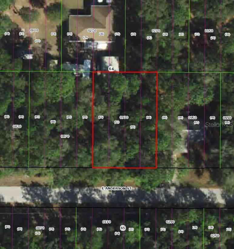 Vacant Land For Sale - 3301 E Anderson Street<br/> INVERNESS, FL 34453