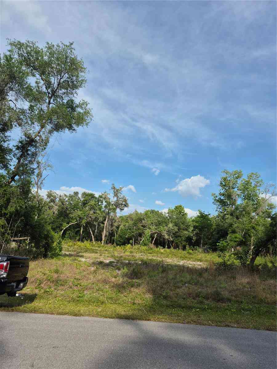 Vacant Land For Sale - 7490 Shasta Street<br/> WEBSTER, FL 33597