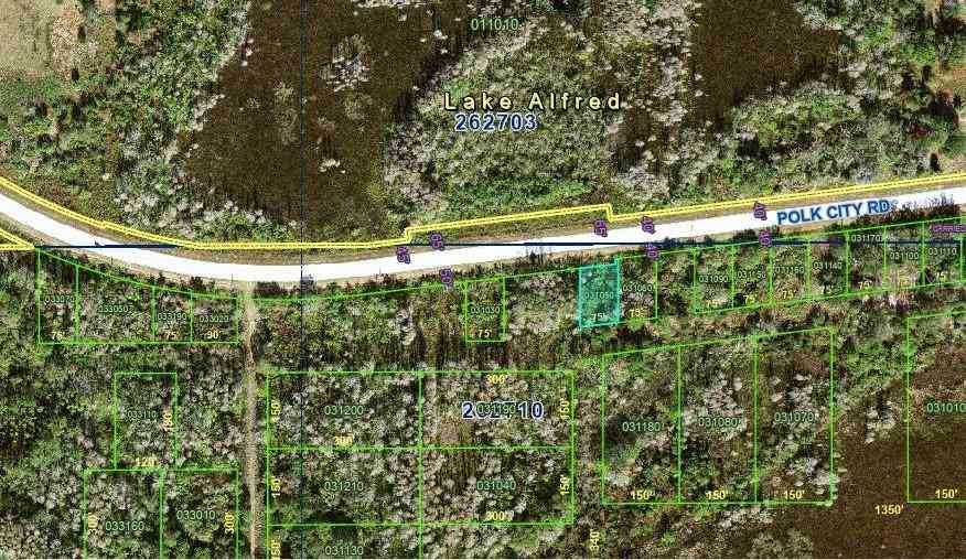 Vacant Land For Sale - Polk City Road<br/> POLK CITY, FL 33868