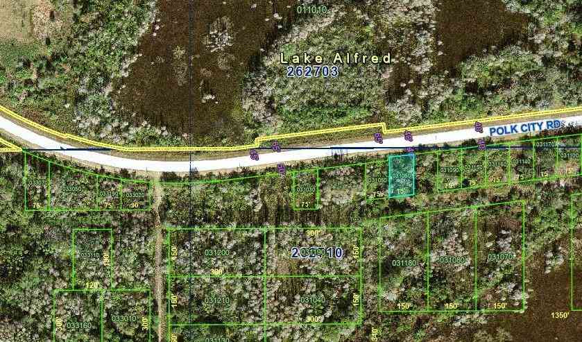 Vacant Land For Sale - Polk City Road<br/> POLK CITY, FL 33868