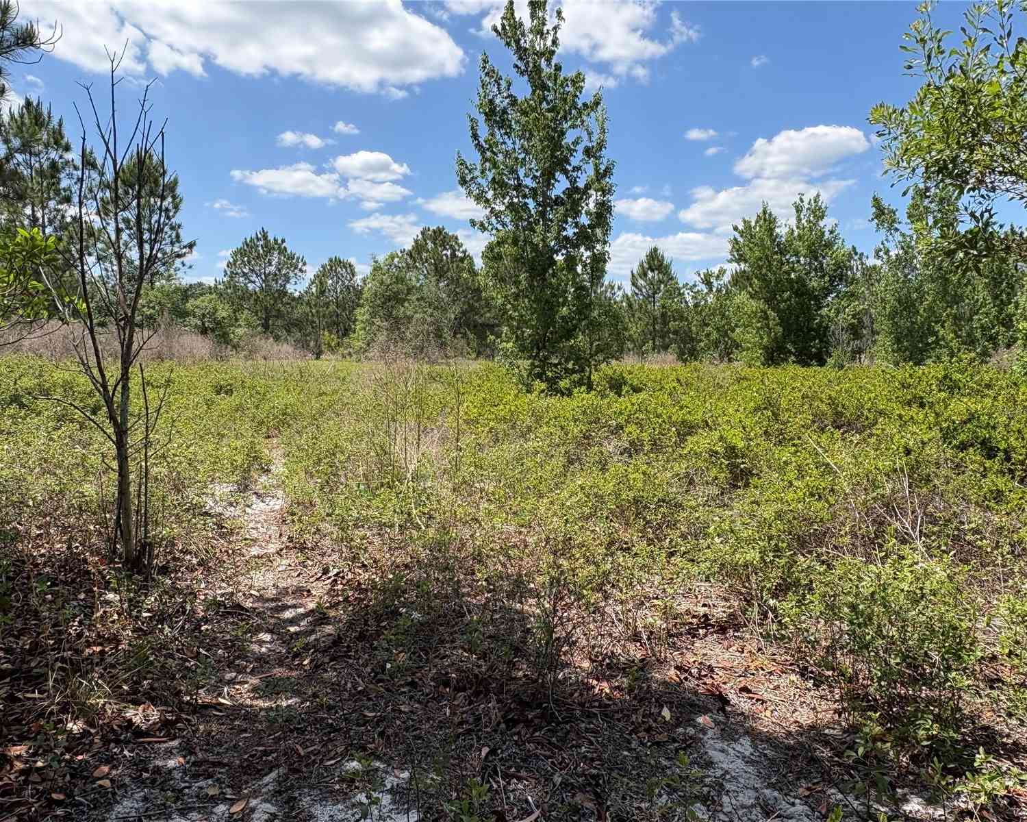 Vacant Land For Sale - San Juan Ave #LOT 29<br/> POLK CITY, FL 33868