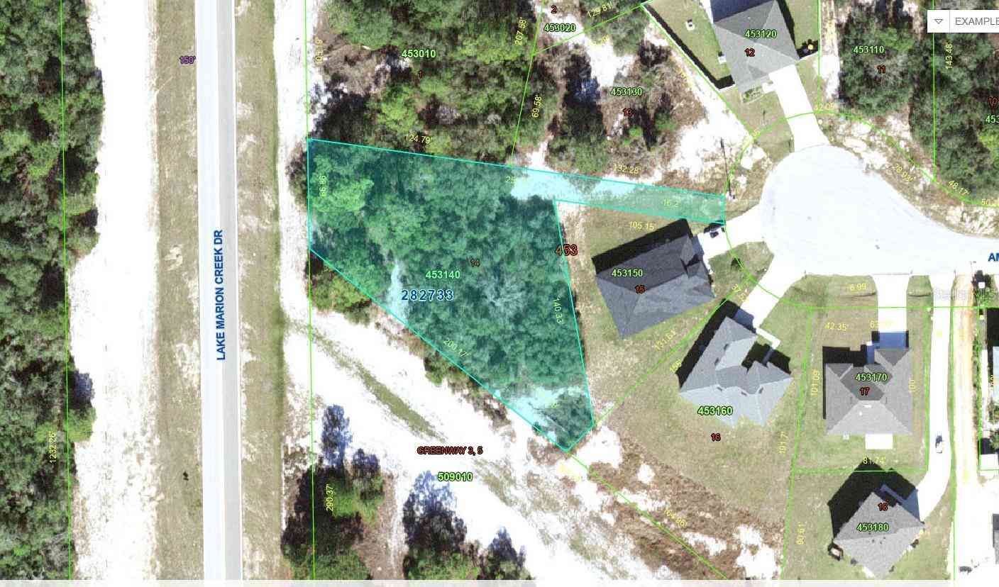 Vacant Land For Sale - 1257 Amazon Lane<br/> KISSIMMEE, FL 34759