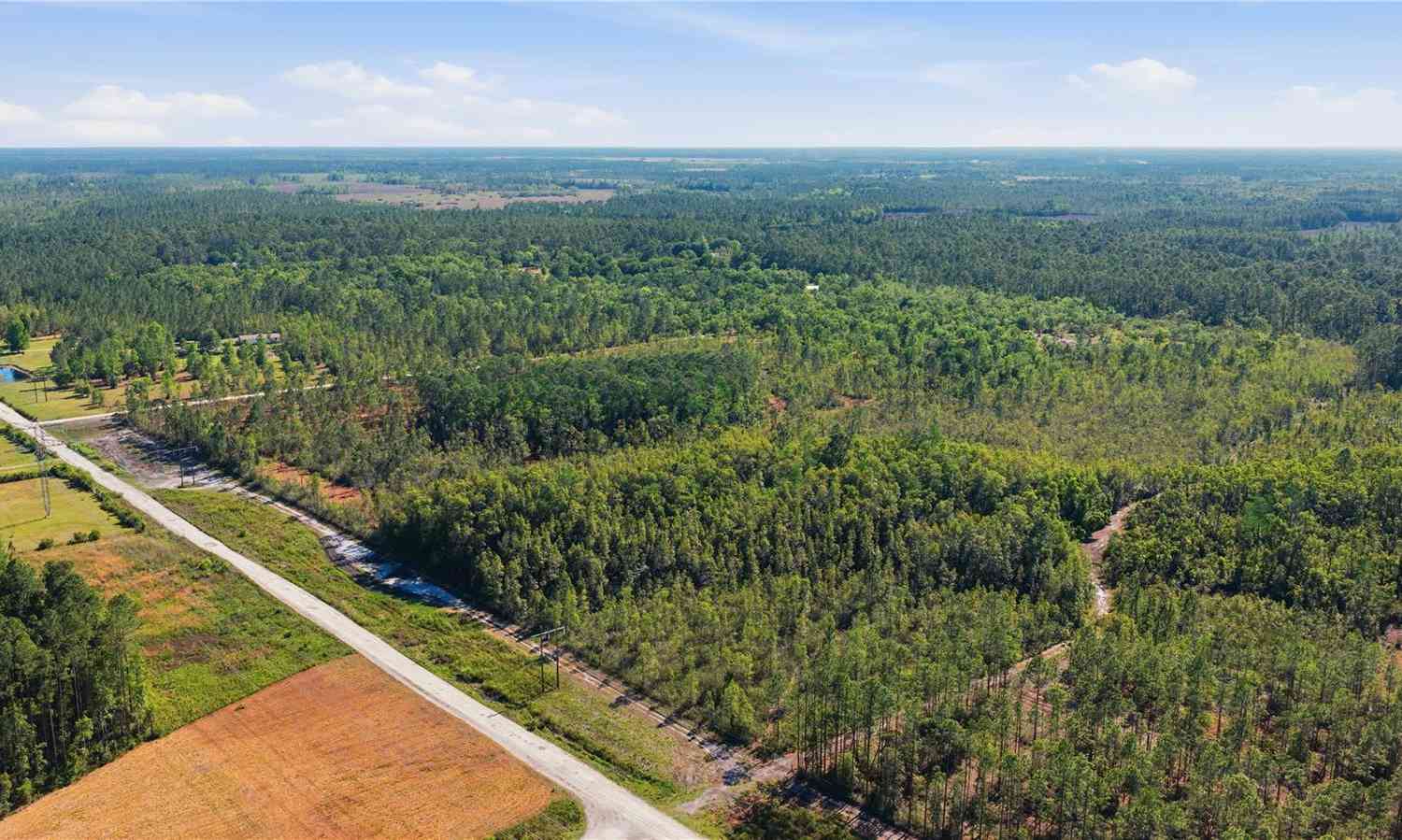 Vacant Land For Sale - TBD NE 125th Avenue<br/> FORT MC COY, FL 32134