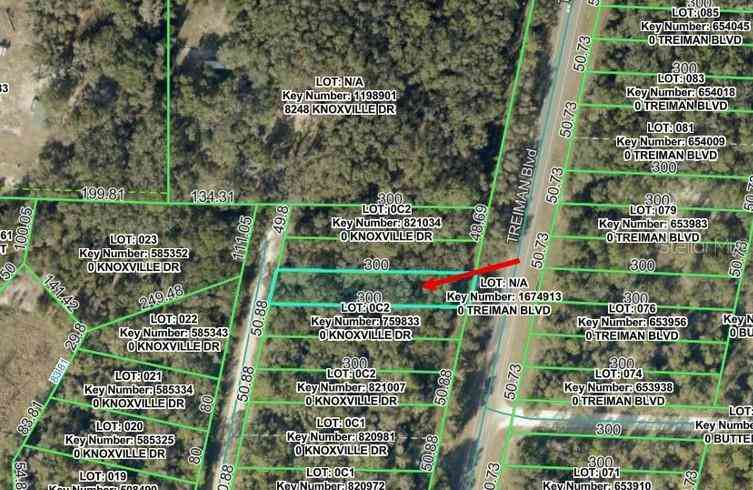 Vacant Land For Sale - Knoxville Drive<br/> WEBSTER, FL 33597