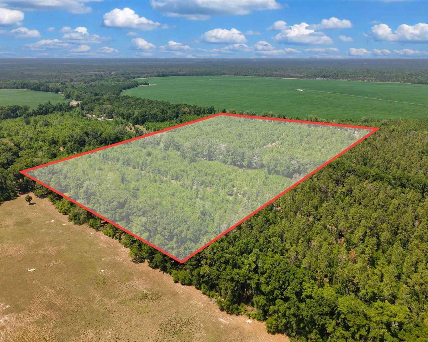 Vacant Land For Sale - TBD 000 NE 998th Avenue<br/> BRANFORD, FL 32008