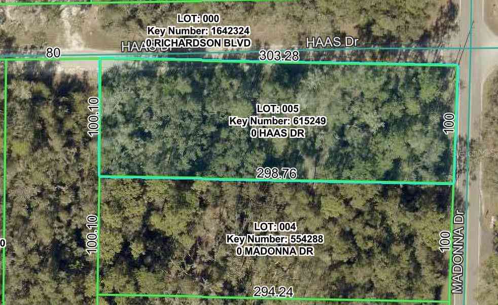 Vacant Land For Sale - Haas Drive<br/> WEBSTER, FL 33597