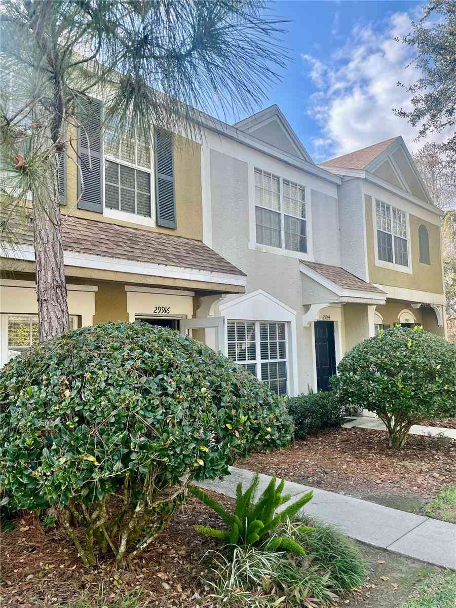 Townhouse For Sale - 29916 Alta Vita Lane<br/> Wesley Chapel, FL 33543