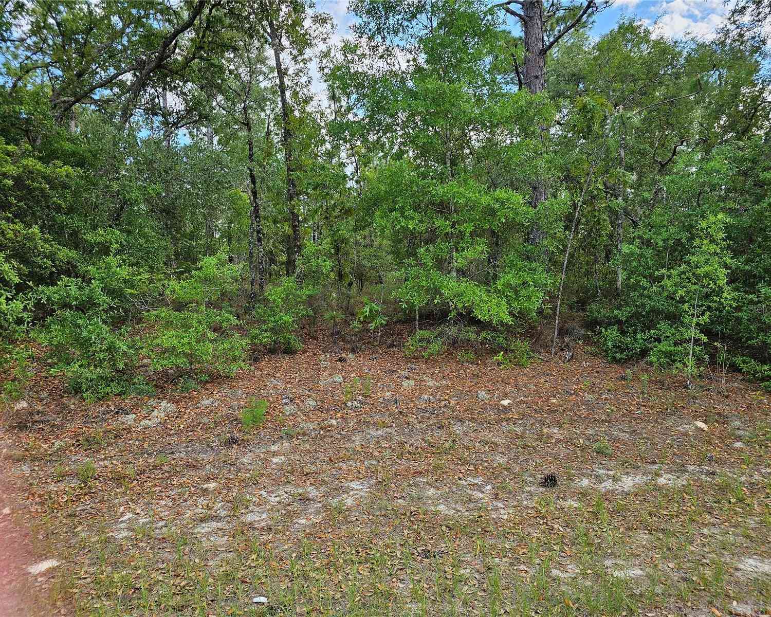 Vacant Land For Sale - 767 E Byrd<br/> DUNNELLON, FL 34434
