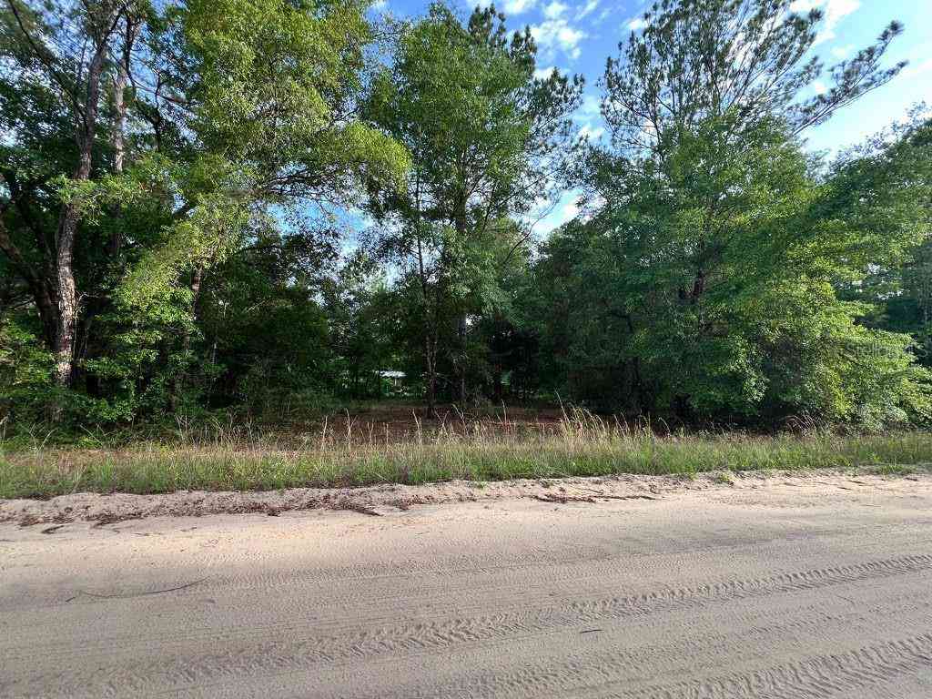 Vacant Land For Sale - Decker Street Lot 12 13<br/> INTERLACHEN, FL 32148