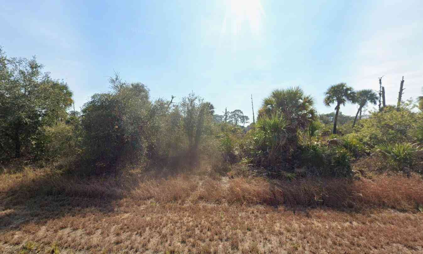 Vacant Land For Sale - 133 Apollo Avenue<br/> LABELLE, FL 33935