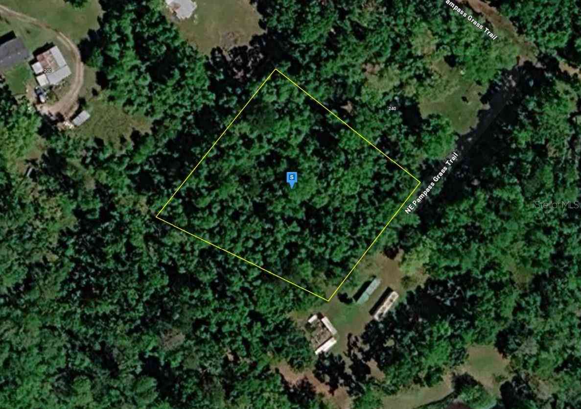 Vacant Land For Sale - 220 NE Pampass Grass Trail<br/> Madison County, PINETTA, FL 32350