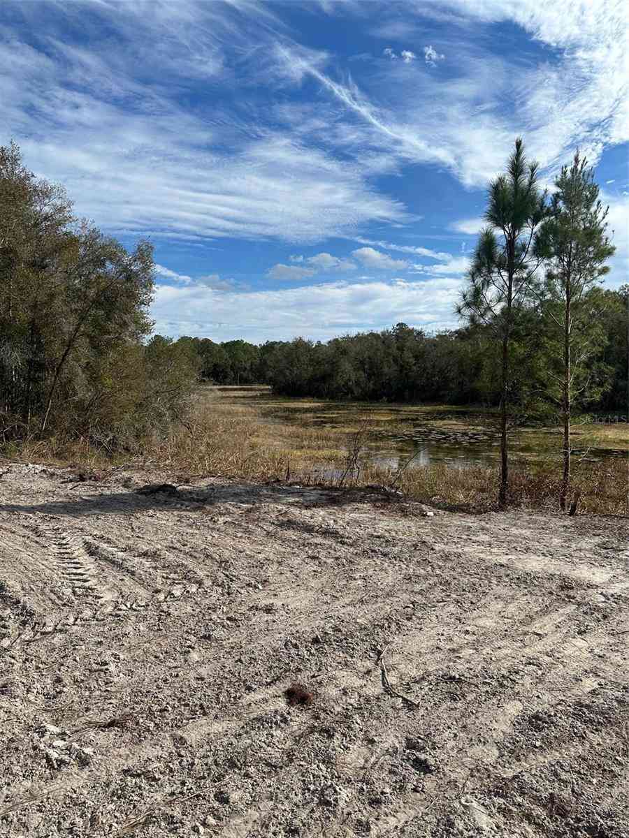 Vacant Land For Sale - Berryhill Drive<br/> WEBSTER, FL 33597