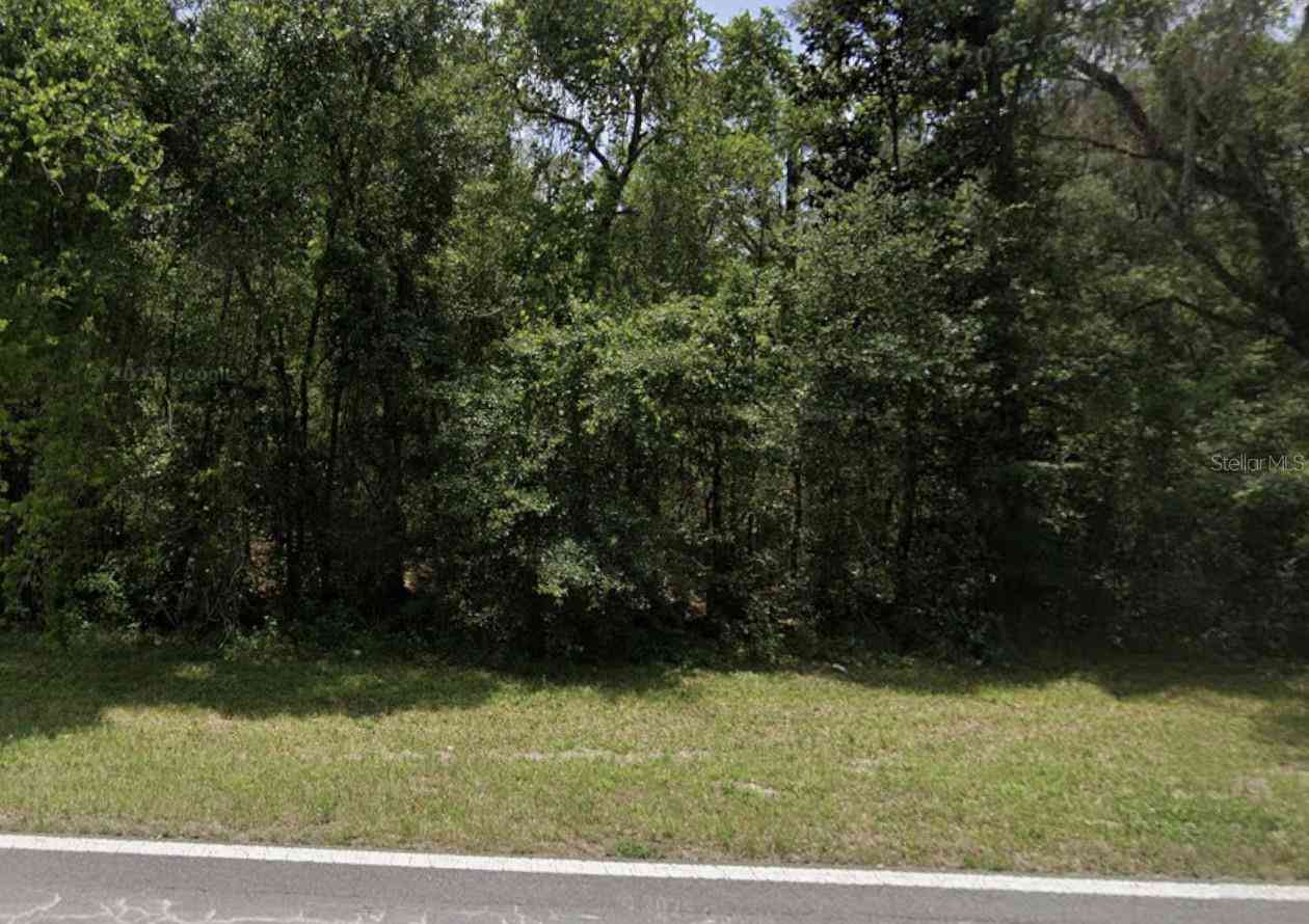 Vacant Land For Sale - Lake Lindsey Road<br/> NOBLETON, FL 34661