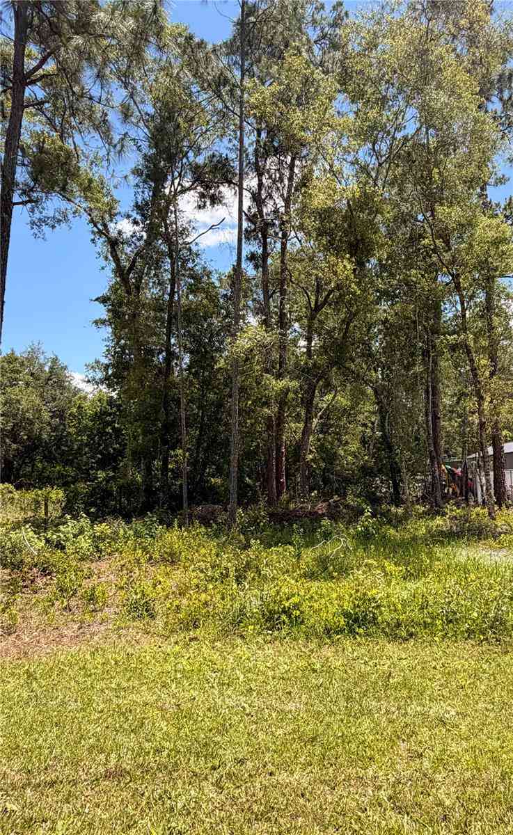 Vacant Land For Sale - 6327 Fig Avenue<br/> WEBSTER, FL 33597