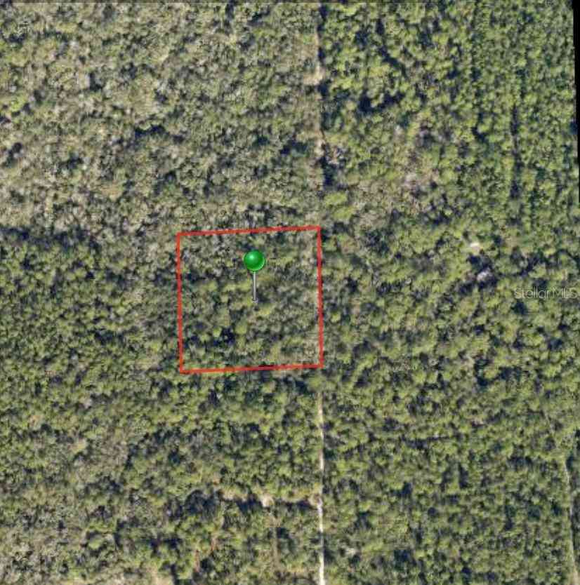 Vacant Land For Sale - Lake Harney Road<br/> OSTEEN, FL 32764