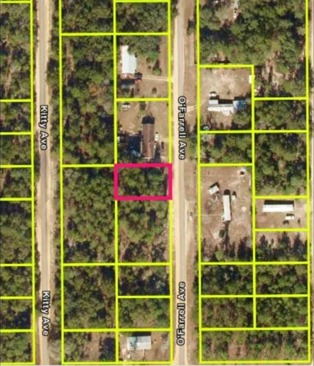 Vacant Land For Sale - N O'farrell Avenue<br/> INTERLACHEN, FL 32148