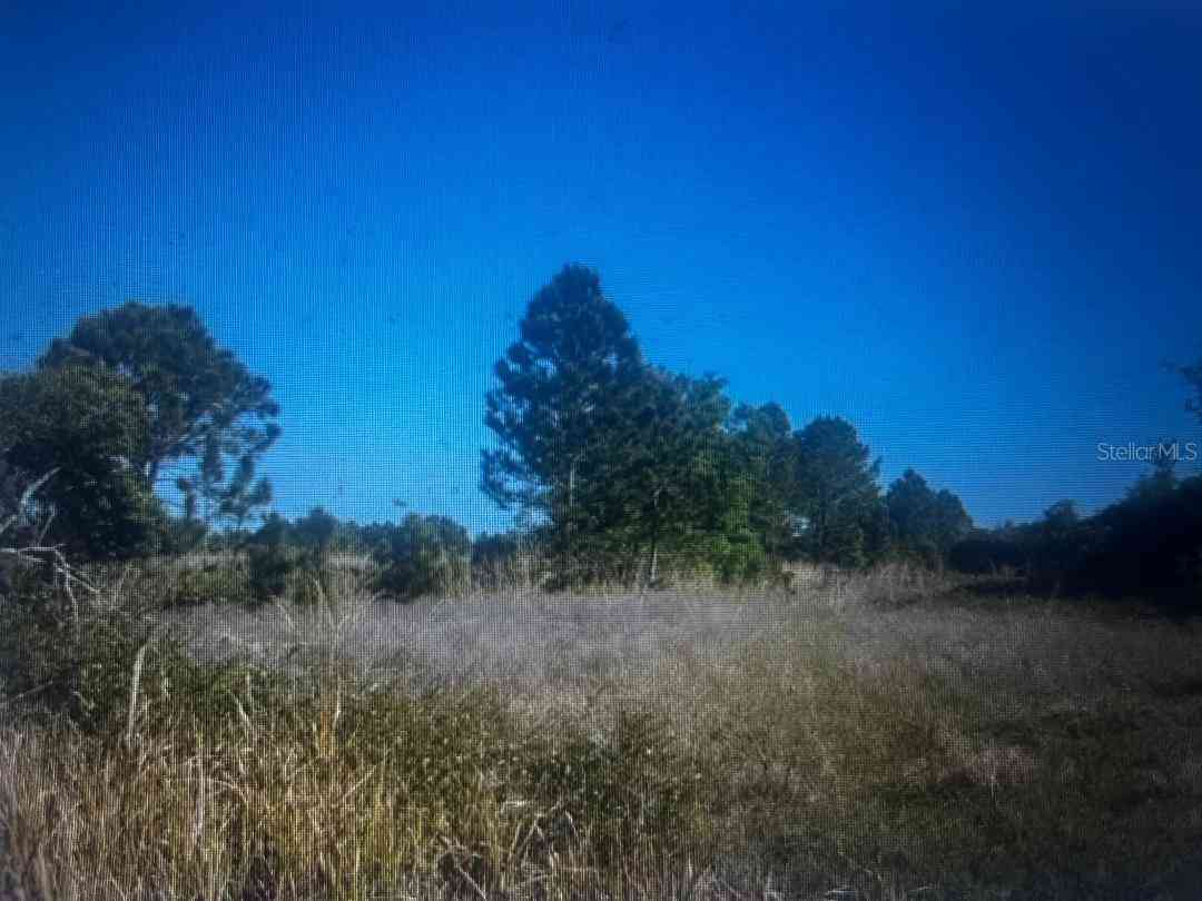 Vacant Land For Sale - 733 N Tarry Lane<br/> LORIDA, FL 33857