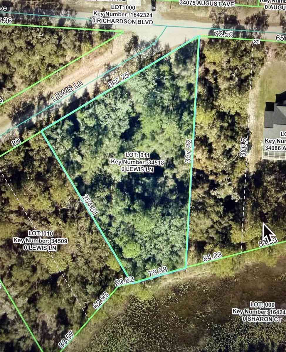 Vacant Land For Sale - Lewis Lane<br/> WEBSTER, FL 33597