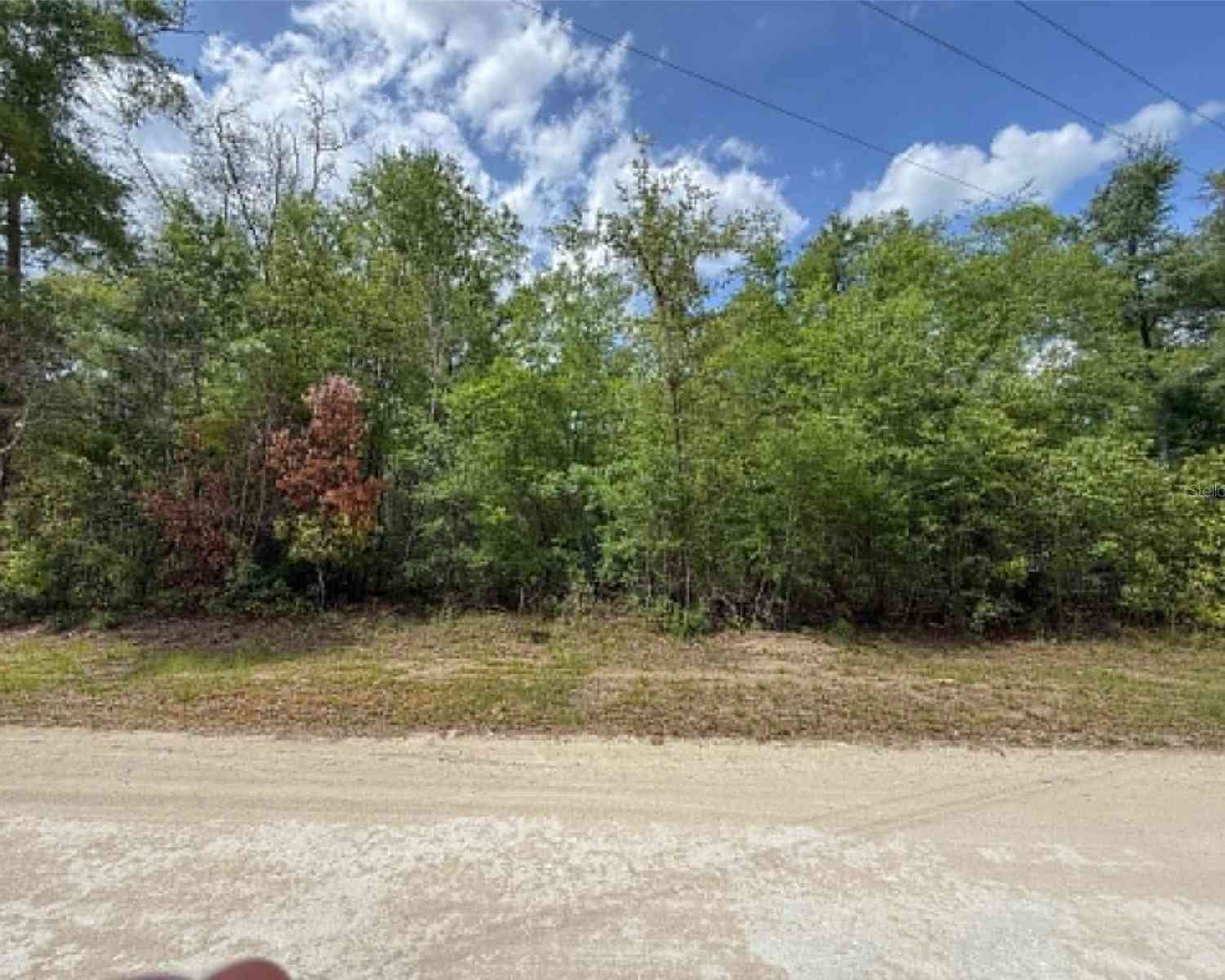 Vacant Land For Sale - TBD 282nd Terrace<br/> BRANFORD, FL 32008