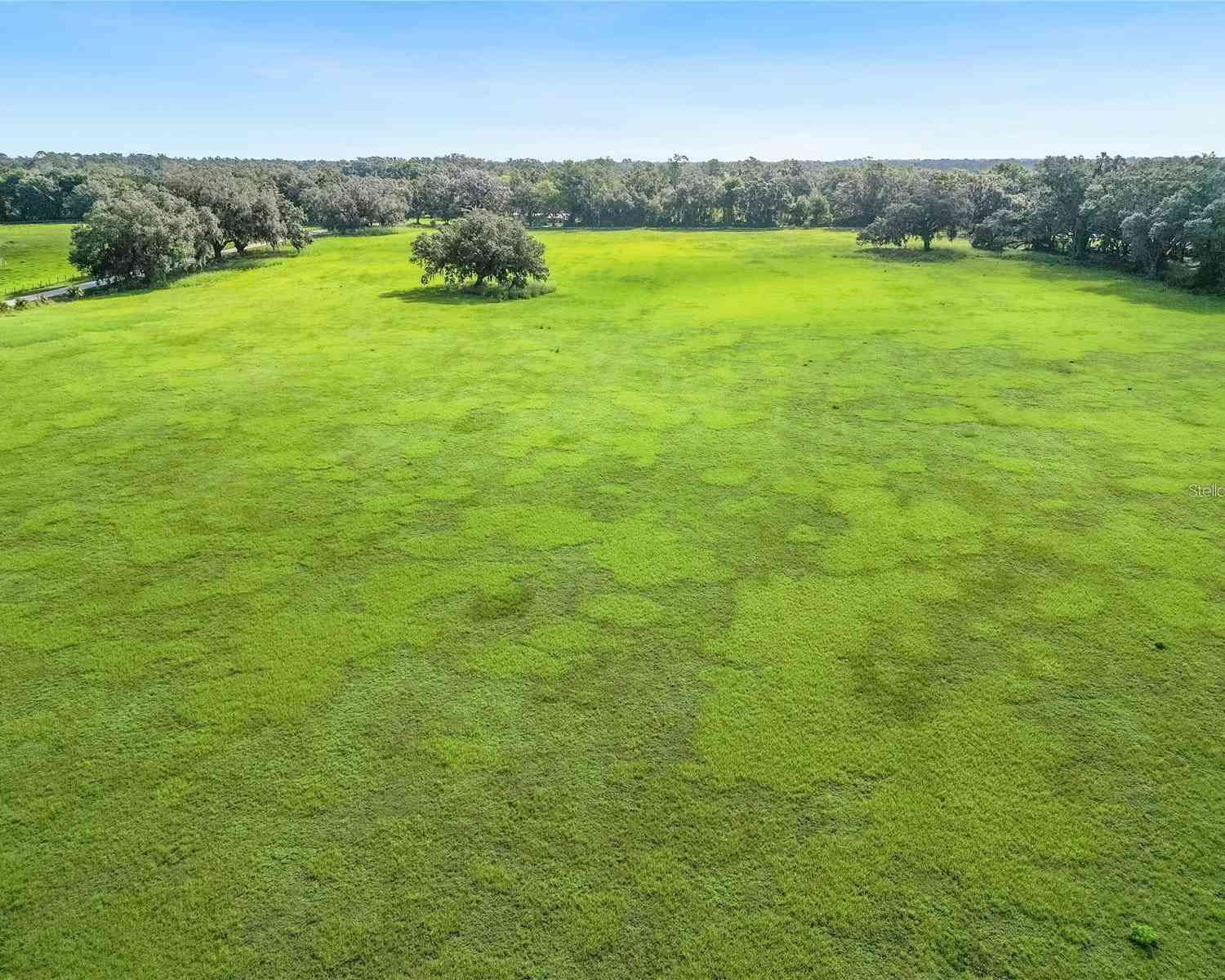 Vacant Land For Sale - 5780 Cr 569<br/> CENTER HILL, FL 33514