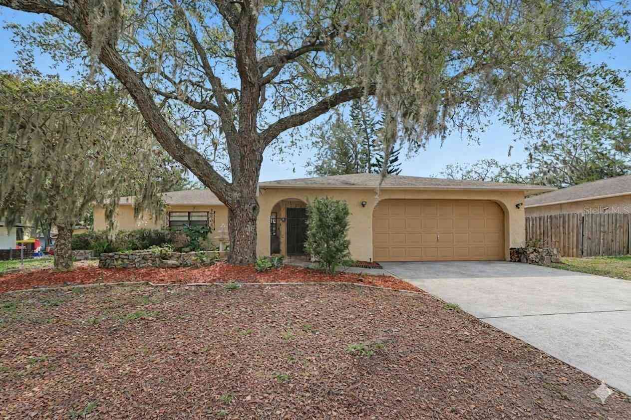 Homes For Sale - 8741 Elm Leaf Court<br/> PORT RICHEY, FL 34668