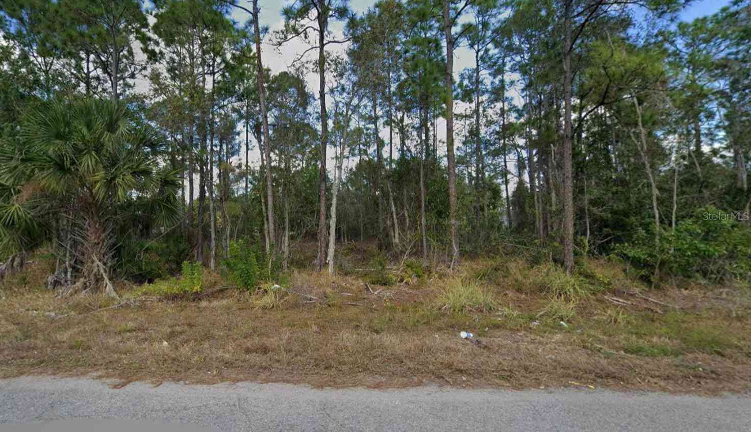 Vacant Land For Sale - 453 Conlee Street<br/> LEHIGH ACRES, FL 33974