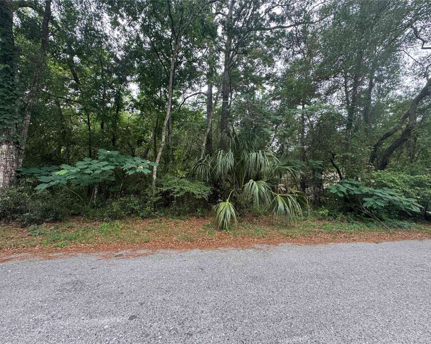 Vacant Land For Sale - 3462 E Michael Street<br/> INVERNESS, FL 34453