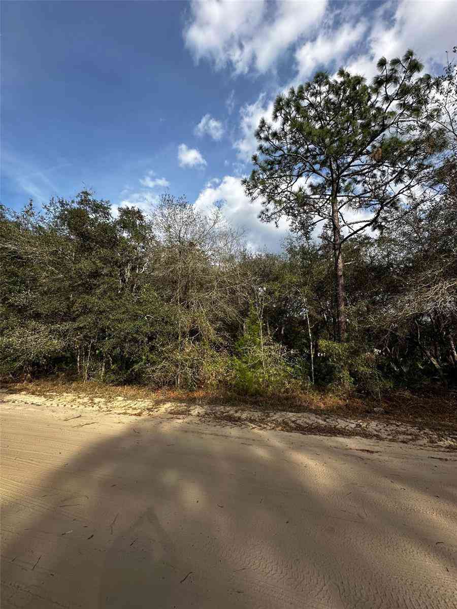 Vacant Land For Sale - 13-10-24-4079-0060-0040<br/> INTERLACHEN, FL 32148