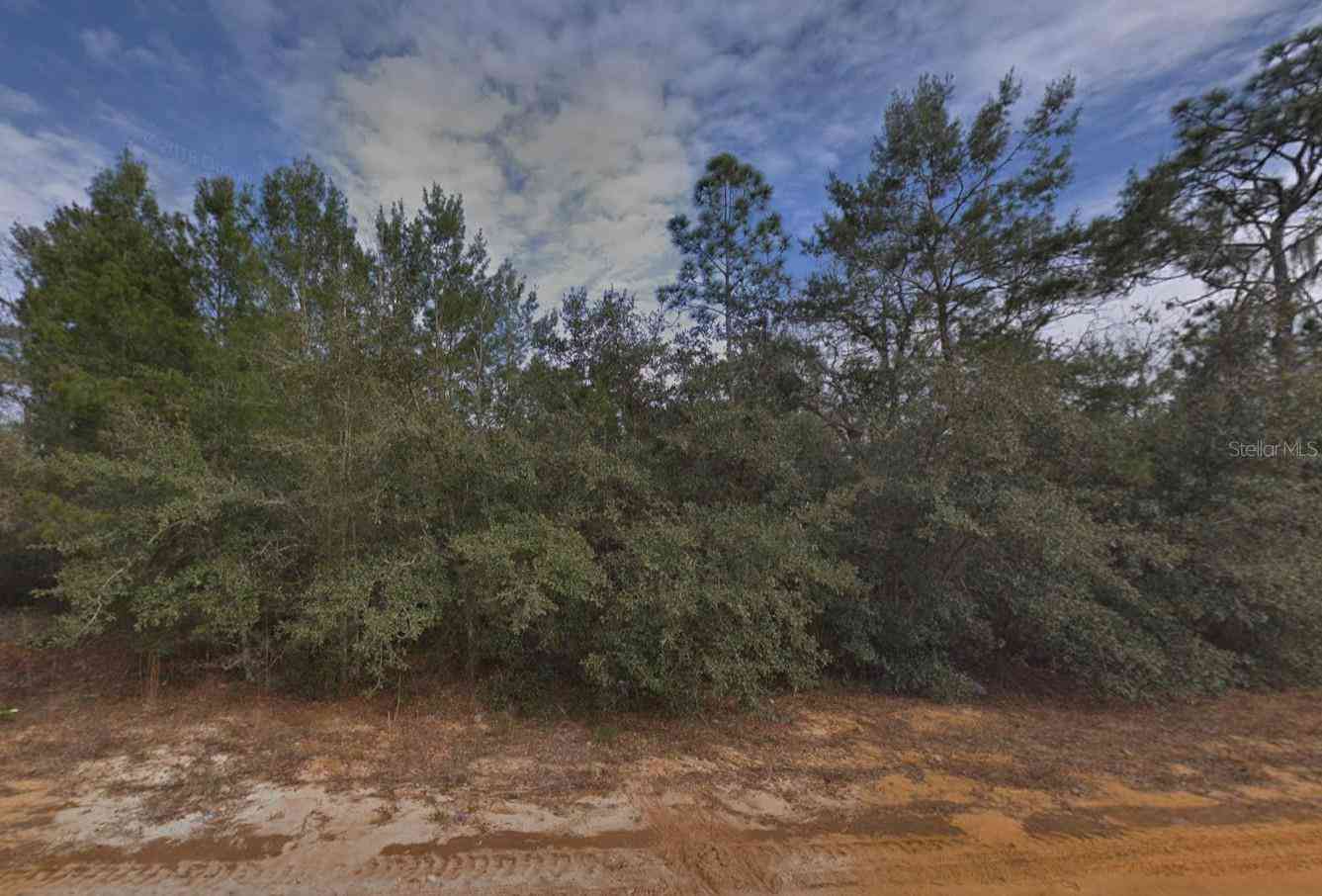 Vacant Land For Sale - Creager Avenue<br/> INTERLACHEN, FL 32148