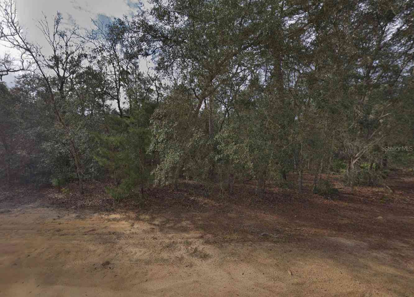 Vacant Land For Sale - David Avenue<br/> INTERLACHEN, FL 32148