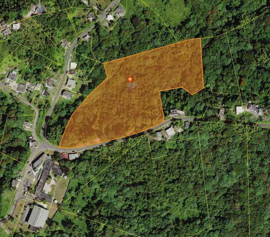 Vacant Land For Sale - Carr 917, Km 5.9, B0 Montones<br/> LAS PIEDRAS, PR 00771