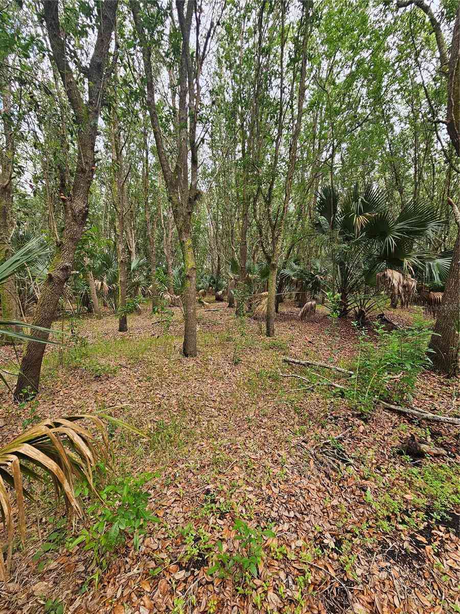 Vacant Land For Sale - 601 Howard Avenue<br/> OVIEDO, FL 32765